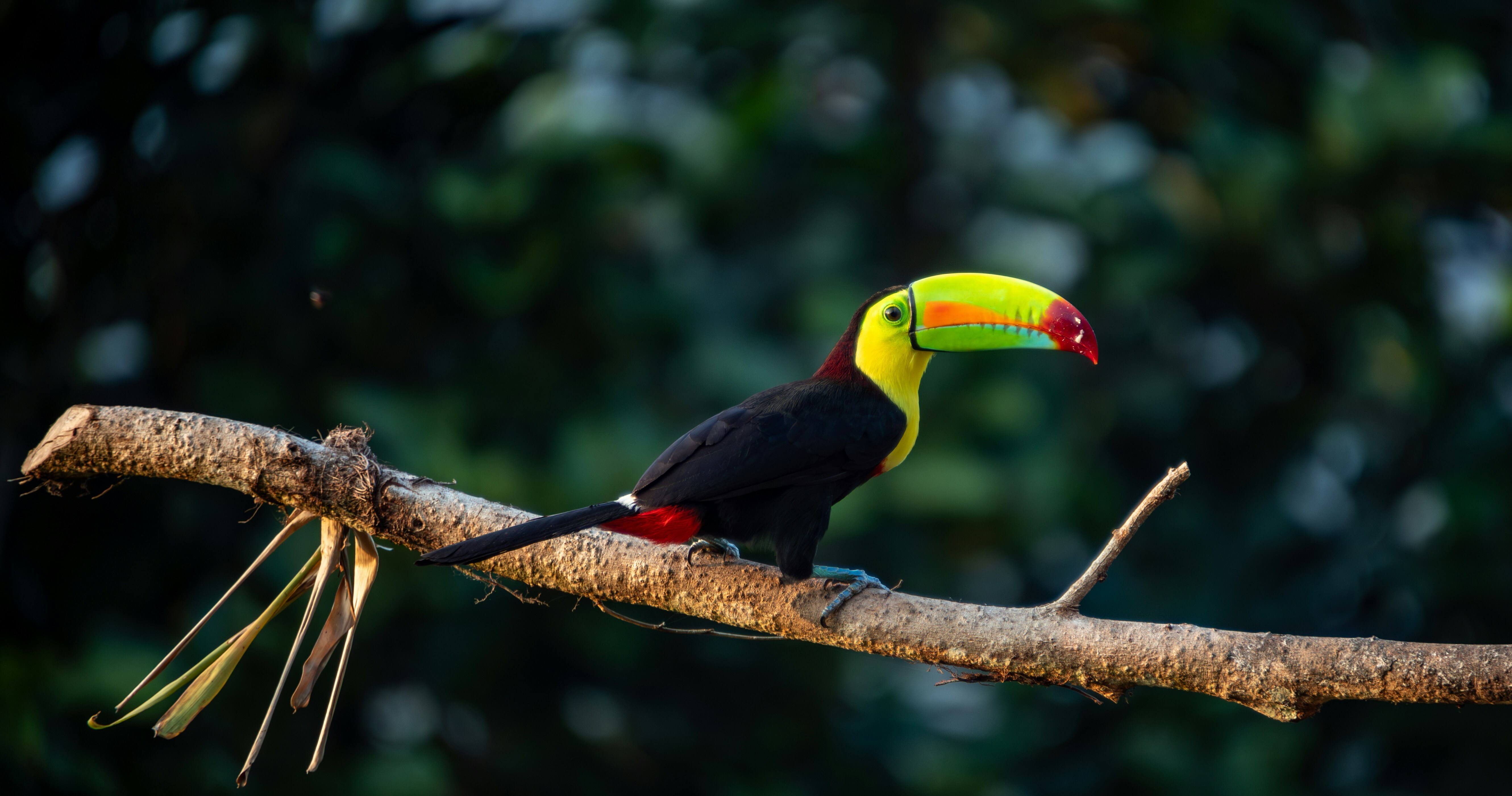 Costa Rica
