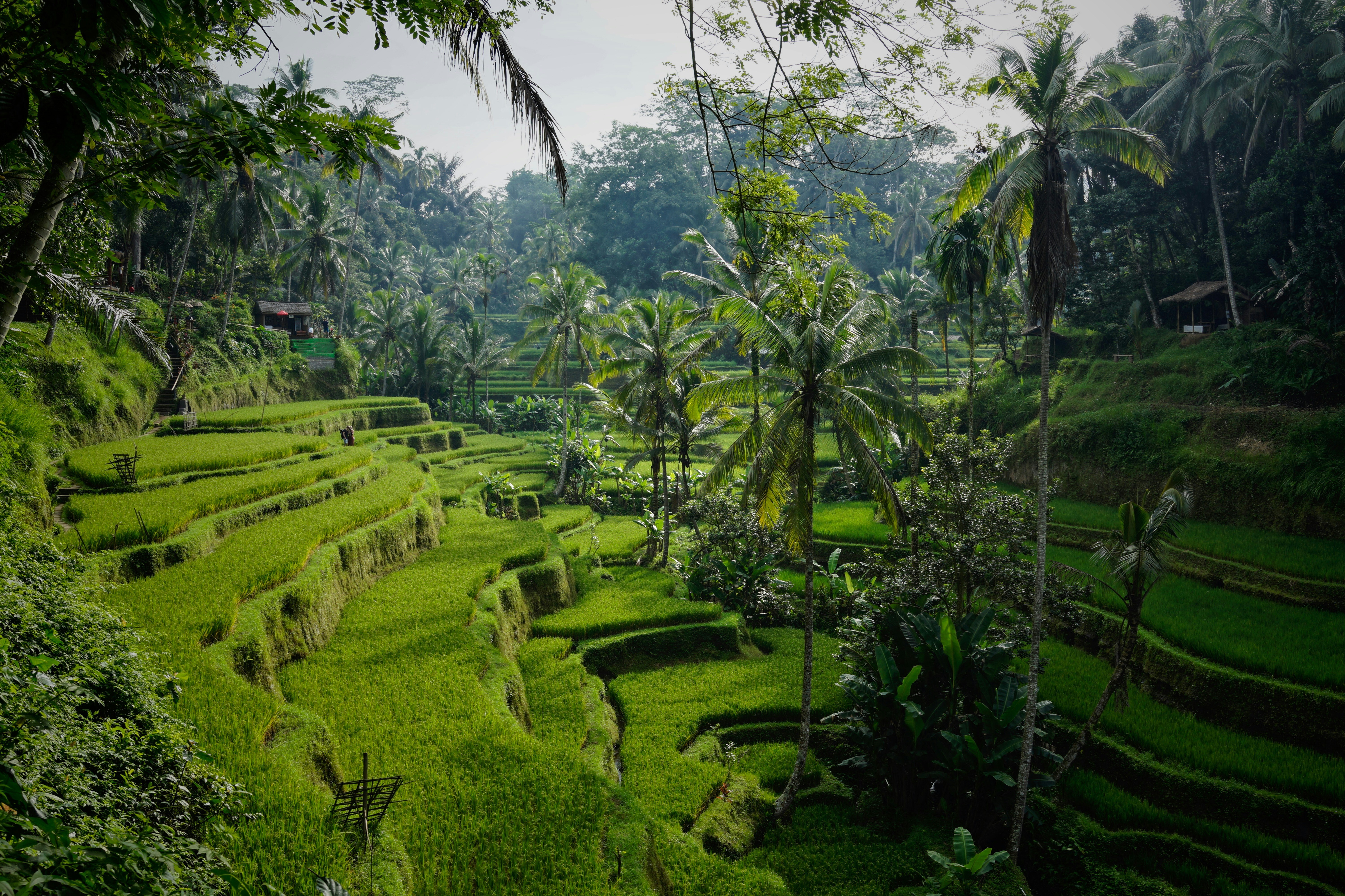 Indonesien